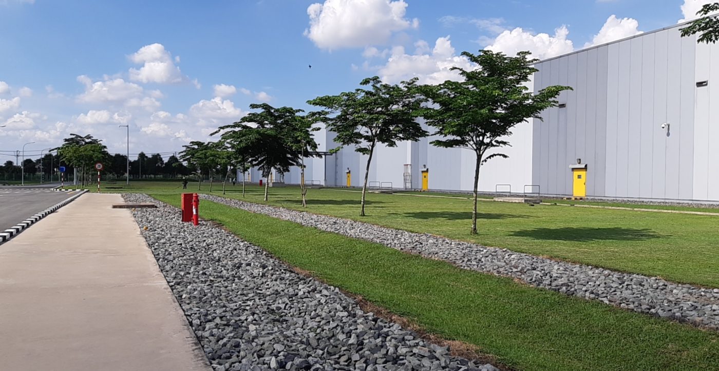 Cây Cảnh Nhà Xanh