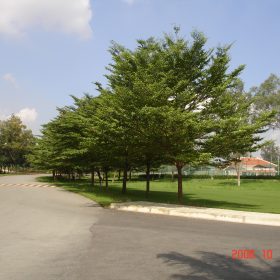 bang dai loan